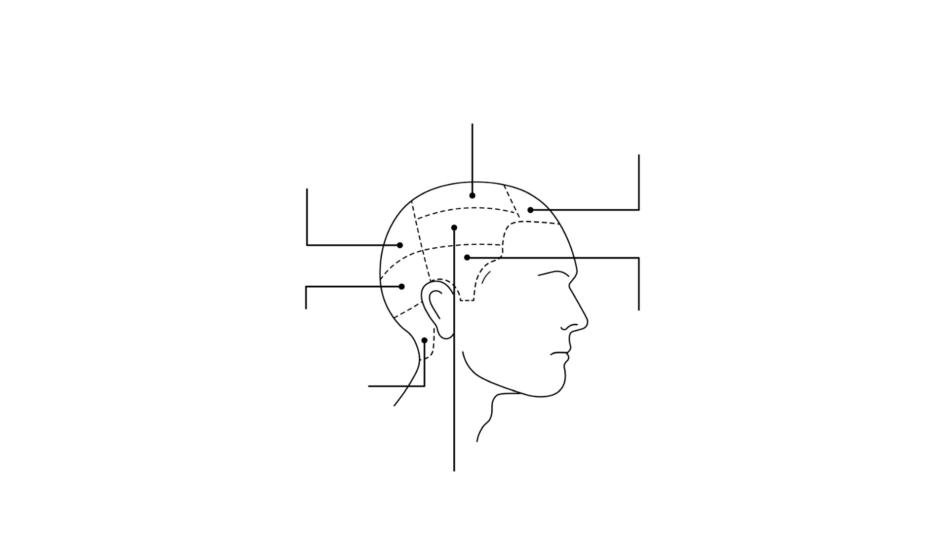 Sectioning Systems cover
